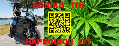 прущие крисы Аргун
