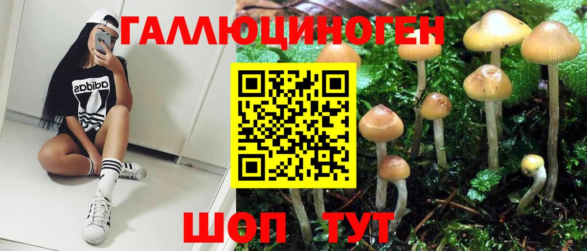 Галлюциногенные грибы Psilocybine cubensis  Вход с VPN  Борисоглебск  Галлюциногенные грибы Cubensis 
